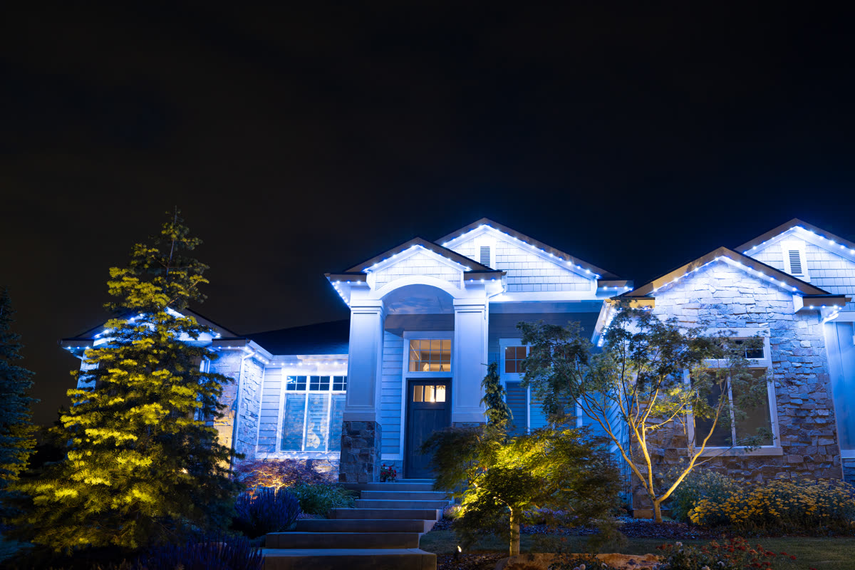 Is Govee Worth It vs Professional Permanent Lights?